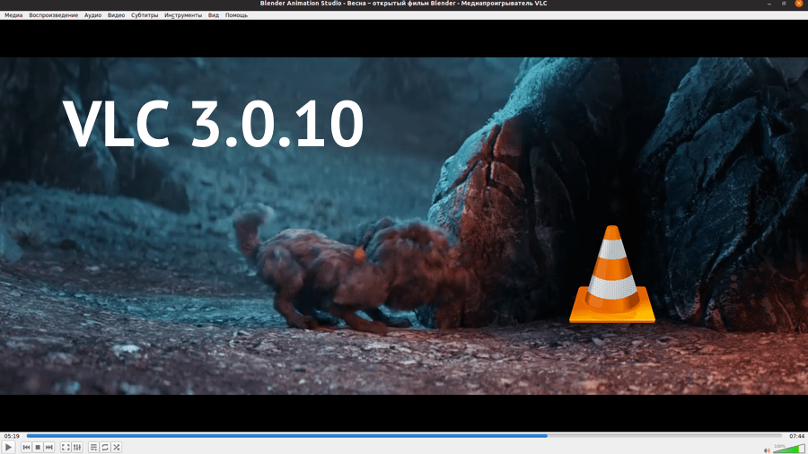 VLC 3.0.10