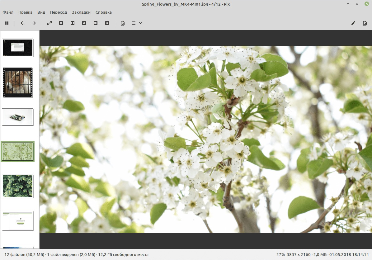 Xviewer Linux Mint 19.3