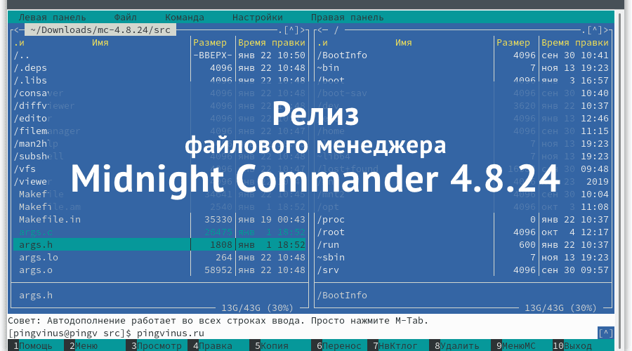 Midnight Commander 4.8.24