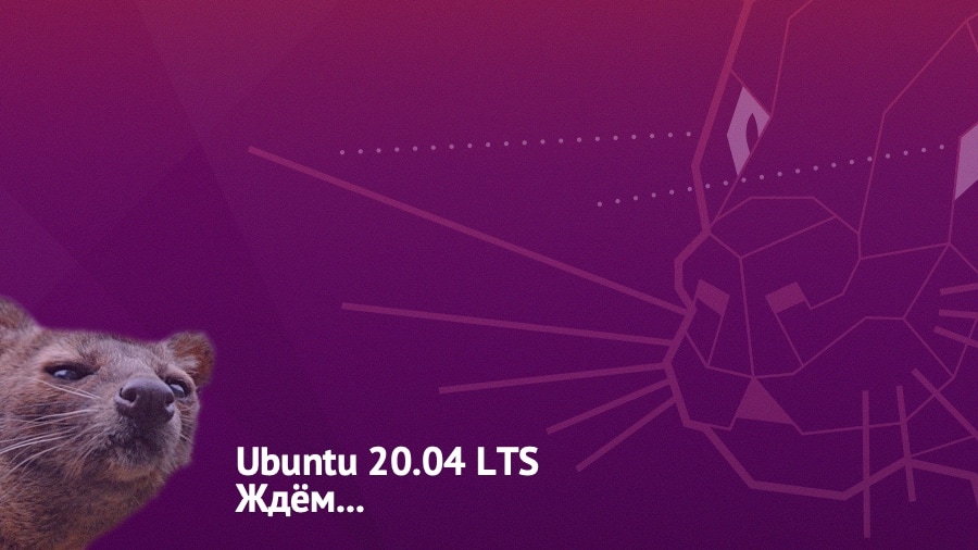 Ubuntu 20.04 LTS дата обои имя