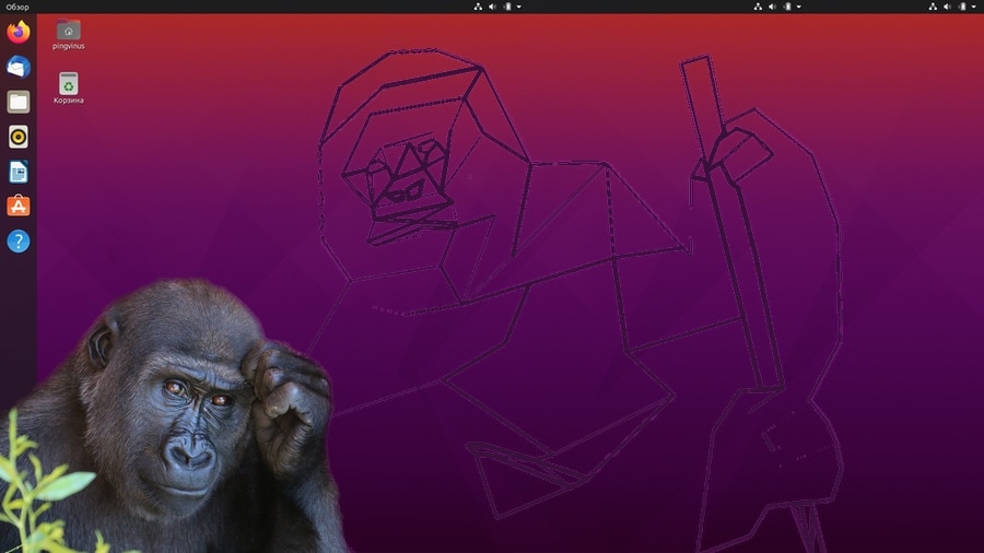 Ubuntu 20.10 Groovy Gorilla