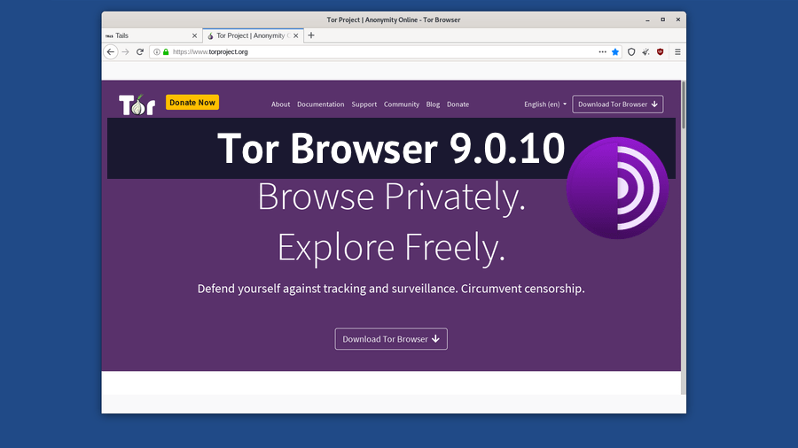 Тор с другим браузером даркнет2web как запустить тор браузер на линукс даркнет