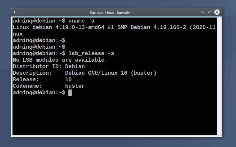 Linux 4.19. Debian 10.7 Buster