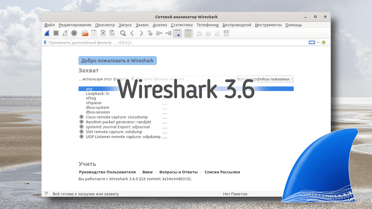 Wireshark 3.6