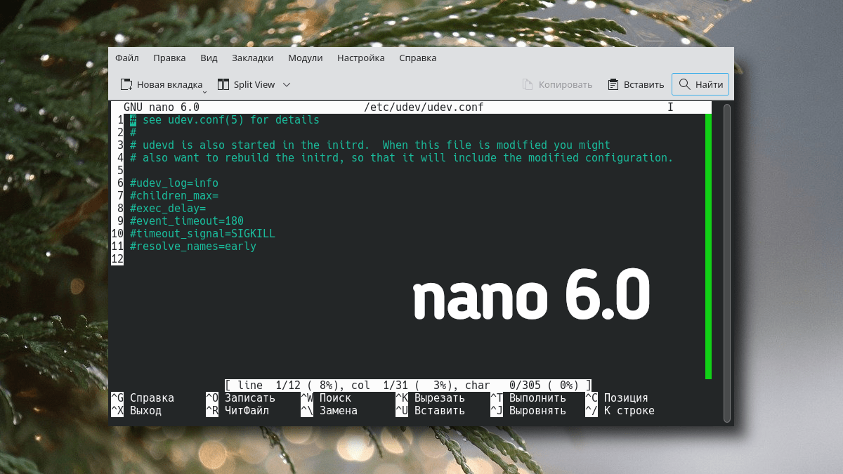 nano 6.0