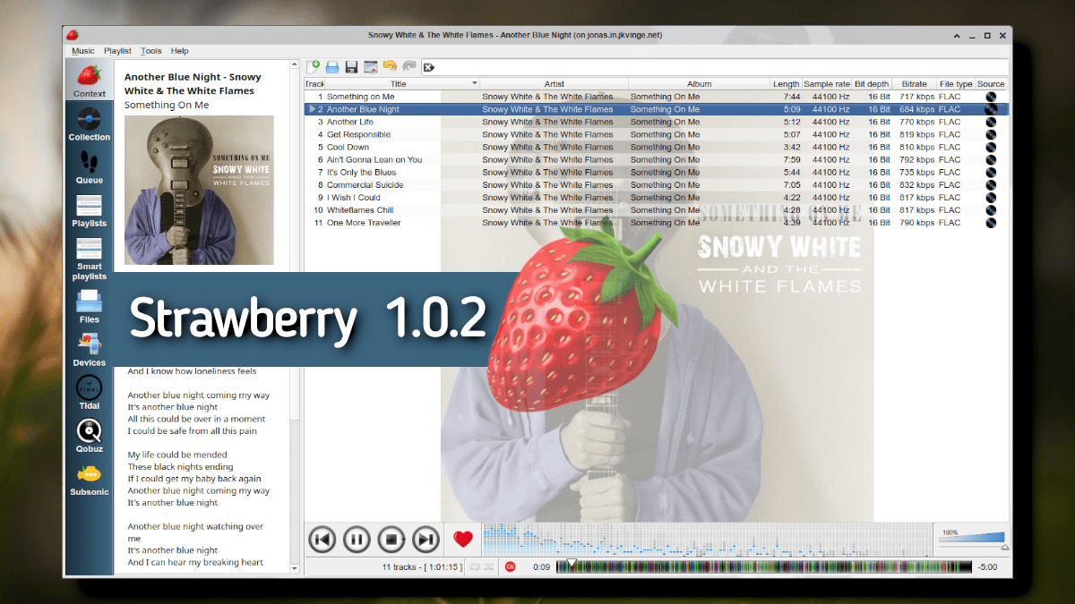 Strawberry Music Player 1.0.2