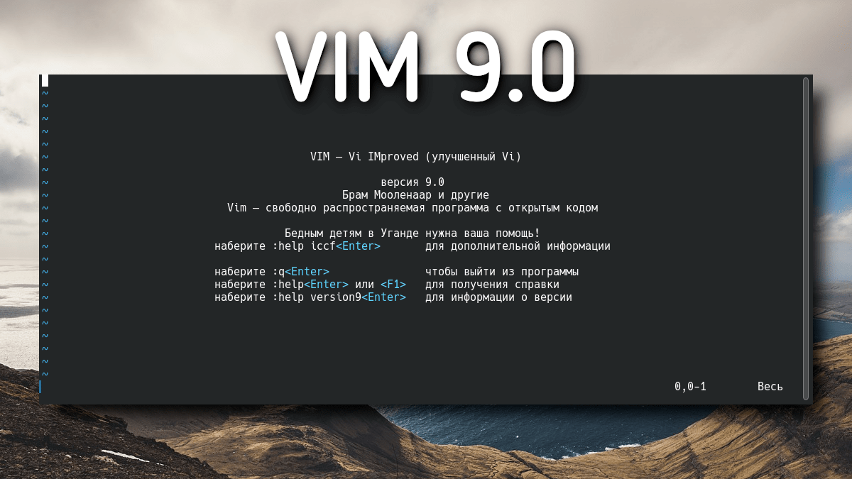 Vim 9.0
