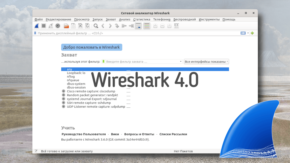 Wireshark 4.0