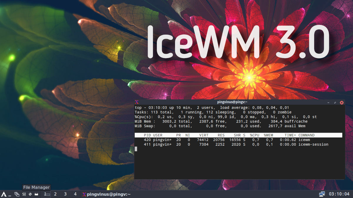 IceWM 3.0