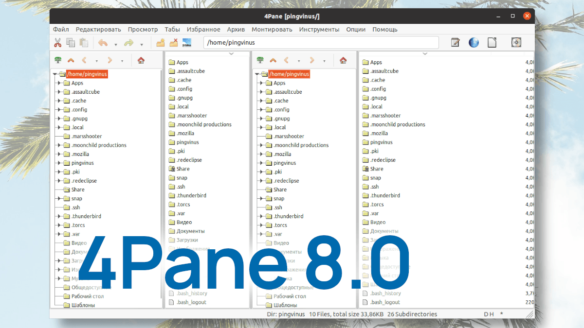 4Pane 8.0