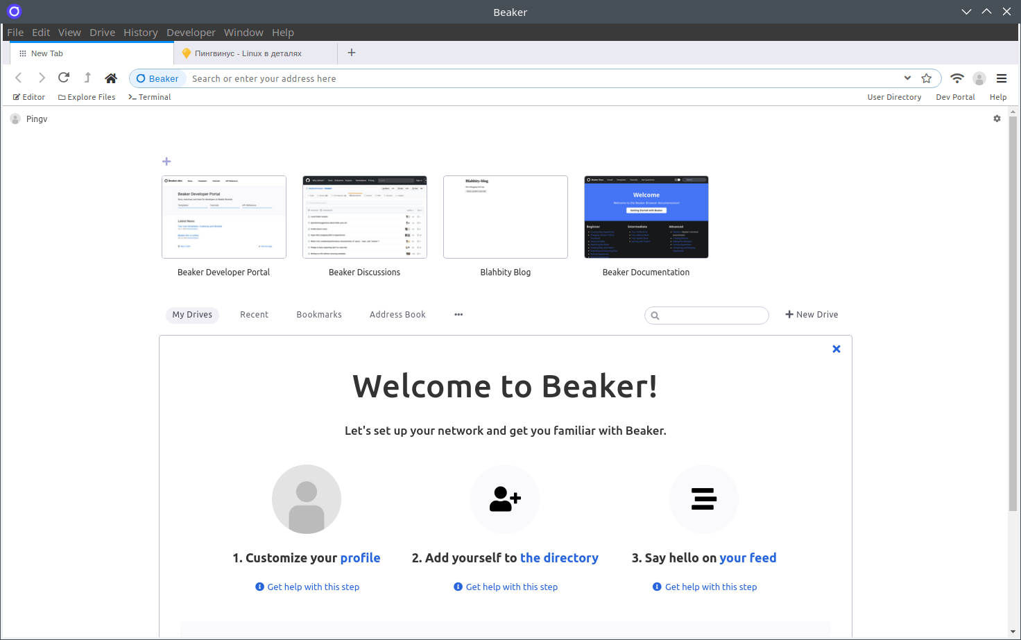 Beaker Browser 1.0.0