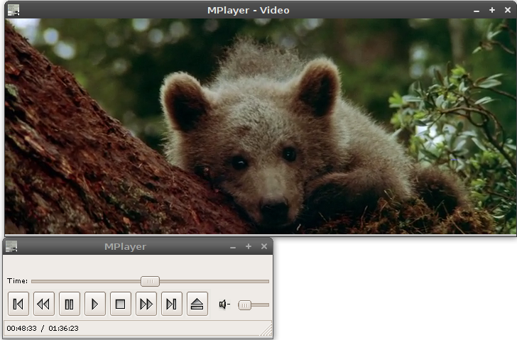MPlayer - мультимедиа видео и аудио проигрыватель для Linux