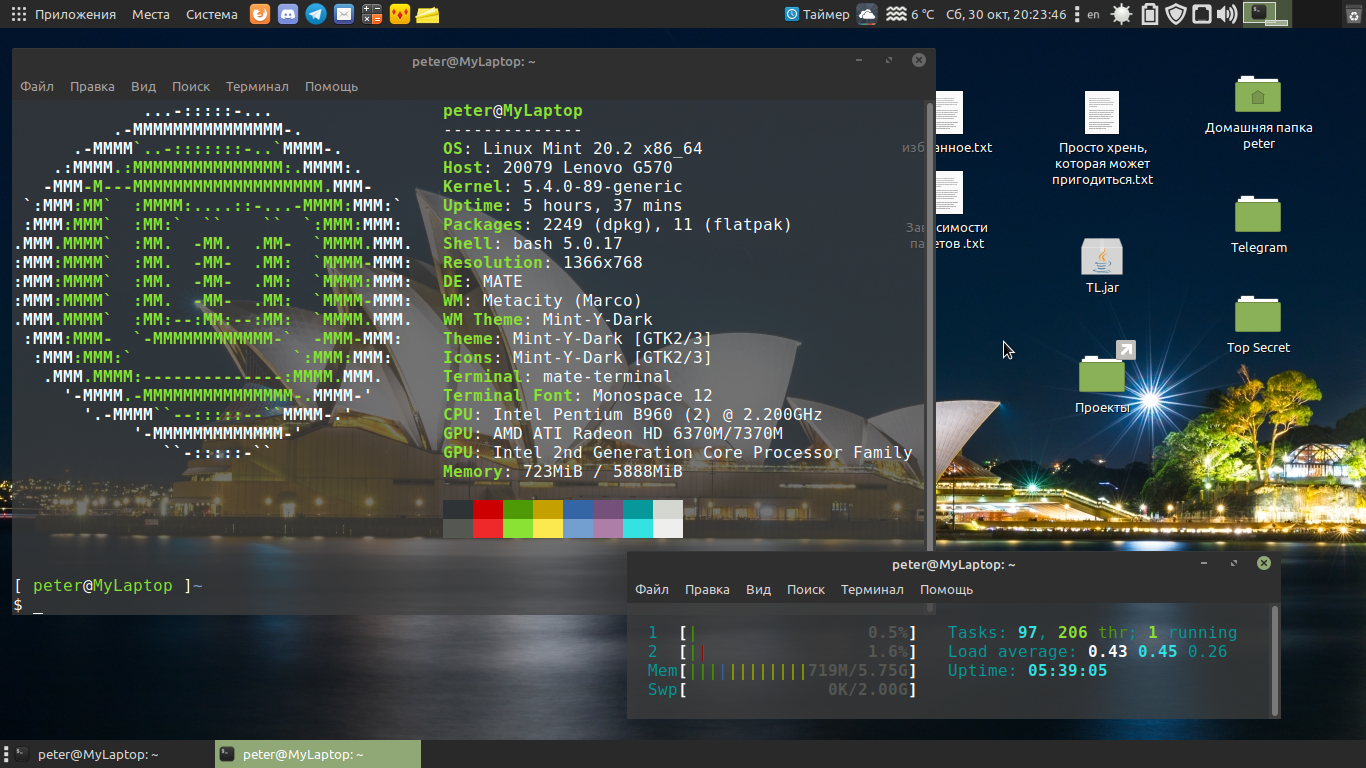 Archlinux Mate. Типичный пользователь Linux. Alt Linux Mate терминал. Су тхири минт хгай.