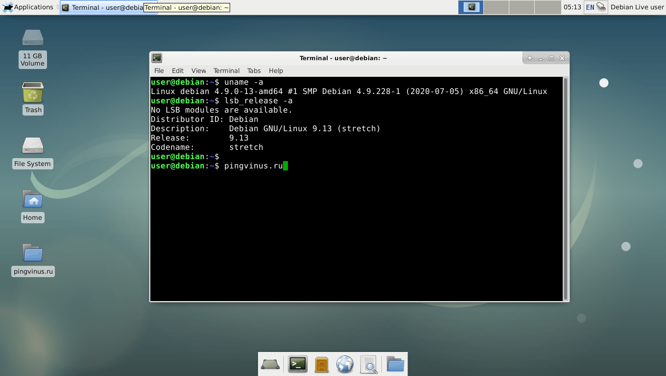 Debian 9.13: Ядро Linux (Live-режим)