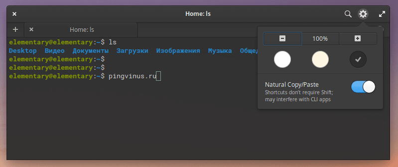Elementary OS 5.1.2: Эмулятор терминала Terminal