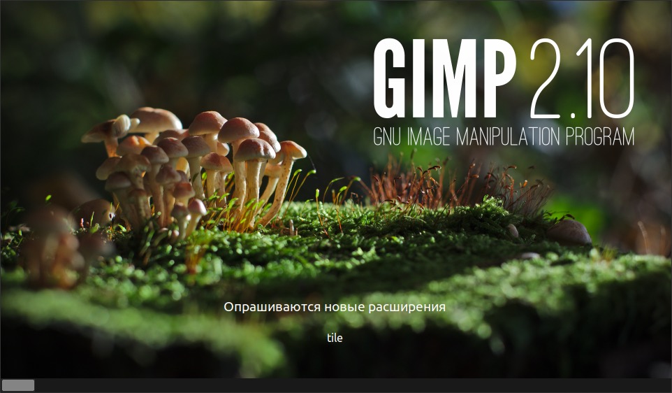 GIMP 2.10.12 Start