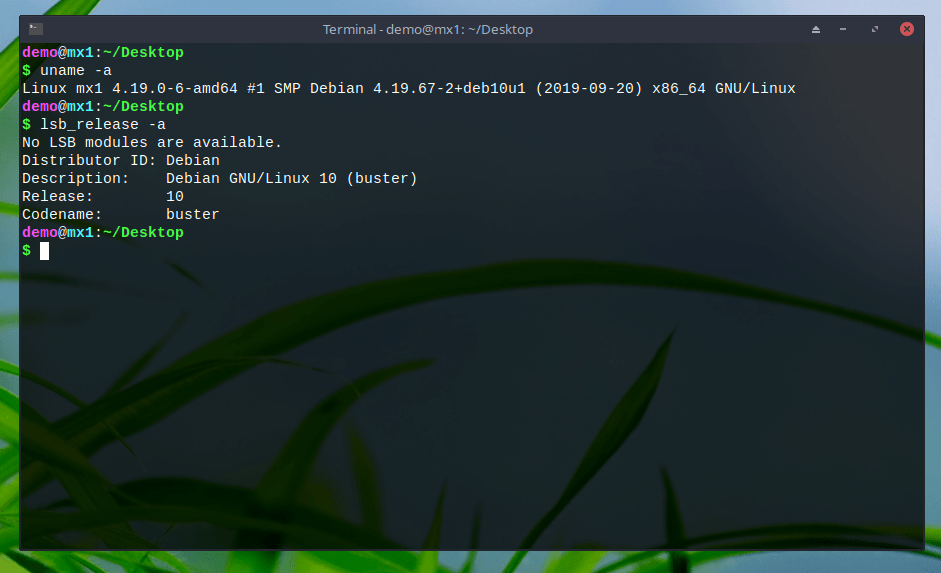 MX Linux 19 Ядро