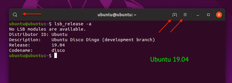 Ubuntu 19.04 Терминал
