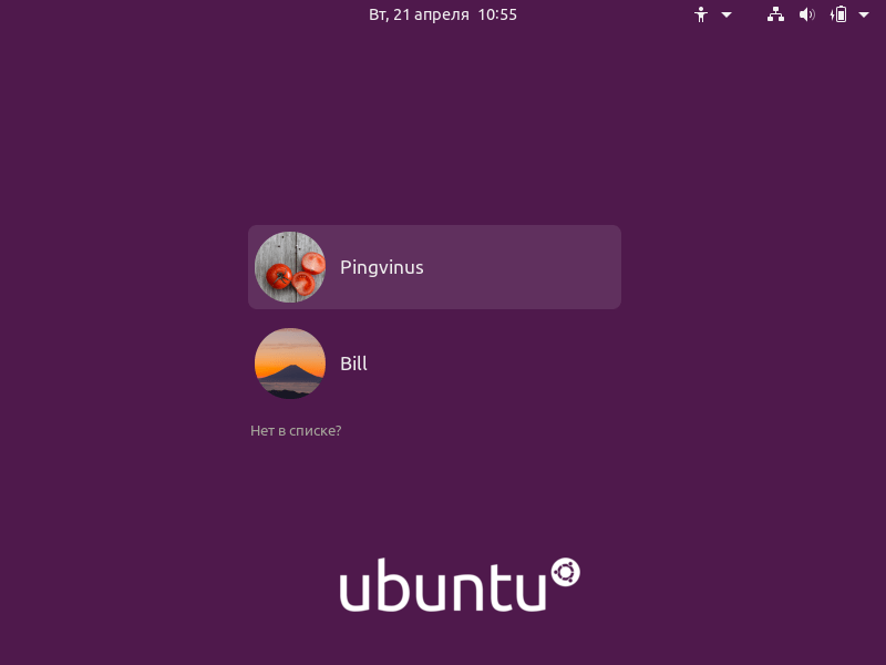 Ubuntu 20.04: Окно входа в систему