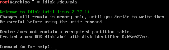 ArchLinux разметка дисков fdisk