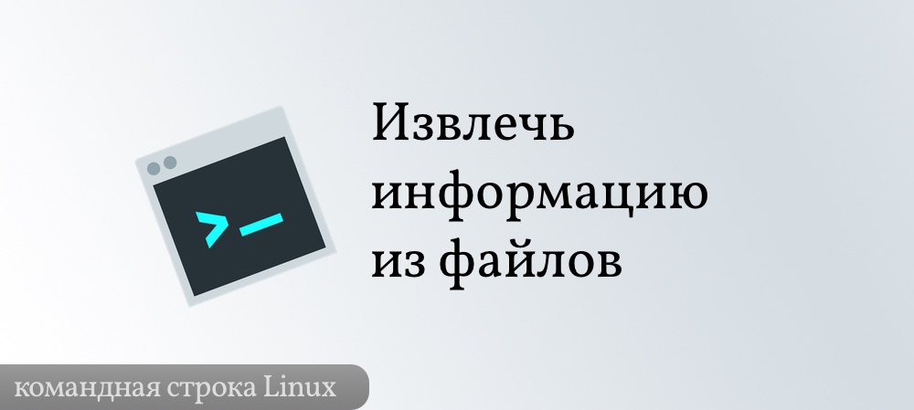 Извлекаем информацию из файлов в Linux