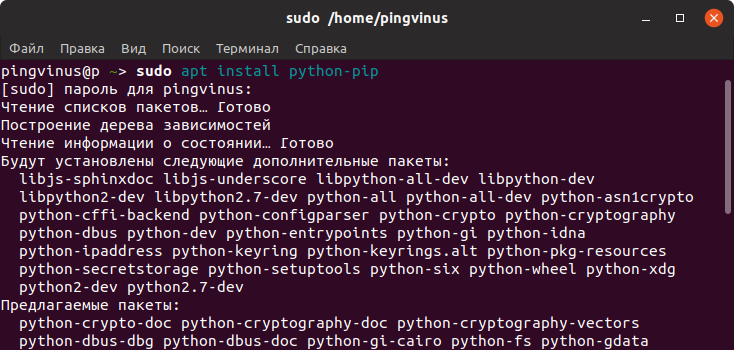 Установка PIP 2 в Ubuntu Linux